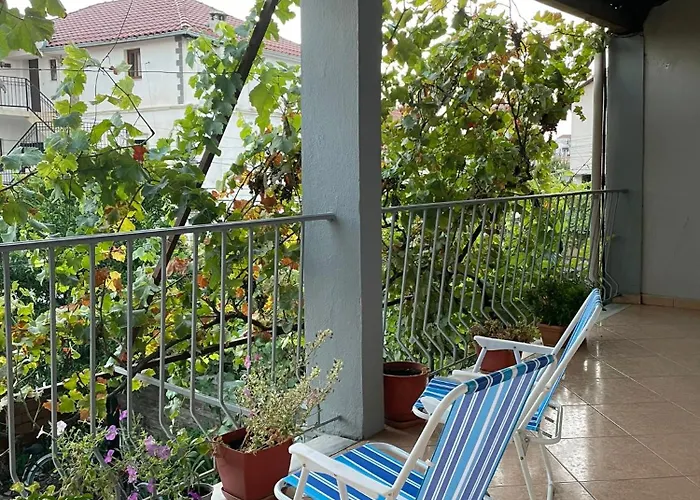 Rreli Shkodër
